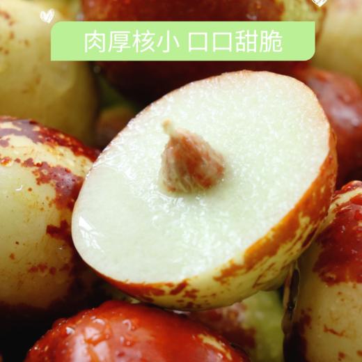 牛奶冬枣，皮薄核小，甜脆多汁，出口标准，现摘现发，72小时顺丰包邮 商品图3