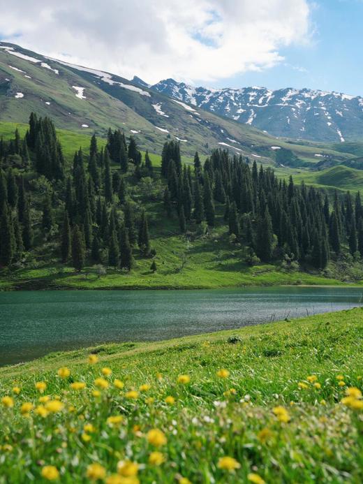 新疆大环线·双点进出双飞8日游-不走回头路【业主专团】纯玩0购物 小区接送 【旅游】 商品图11