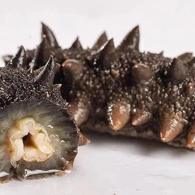 长岛淡干刺参&鲜食海参 商品图0