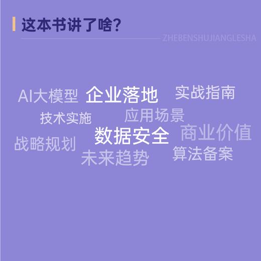 AI大模型企业落地指南 AI大模型应用与开发AGent智能体扣子数据*AI商业进化论 商品图3