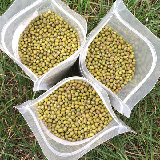 陕北农家绿豆+小黑豆+老品种黄豆【6斤包邮】 商品图2