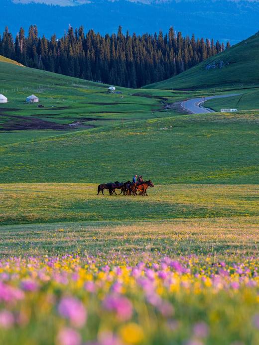 新疆大环线·双点进出双飞8日游-不走回头路【业主专团】纯玩0购物 小区接送 【旅游】 商品图5