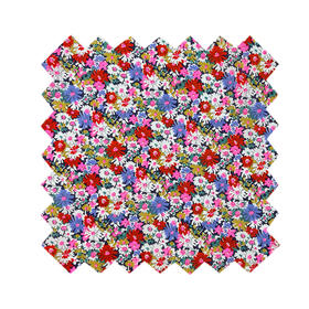 LT031E Liberty 莉比Libby 荧光塔纳经典胶囊 269元/米