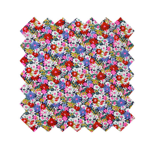 LT031E Liberty 莉比Libby 荧光塔纳经典胶囊 269元/米 商品图0