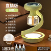 【新款灭蚊灯】家用智能定时二合一 螺旋电热蚊香液驱蚊器灭蝇器 商品缩略图7