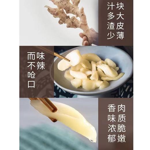 【小来】特价到手3瓶❗️铜陵白姜 糖醋白姜酸甜生姜酱汁咸生姜泡菜姜片 238g/罐，每天三片醋泡姜 活到90不显老 酸甜可口 商品图3