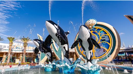 上海海昌海洋公园网红打卡游览一日游 商品图0