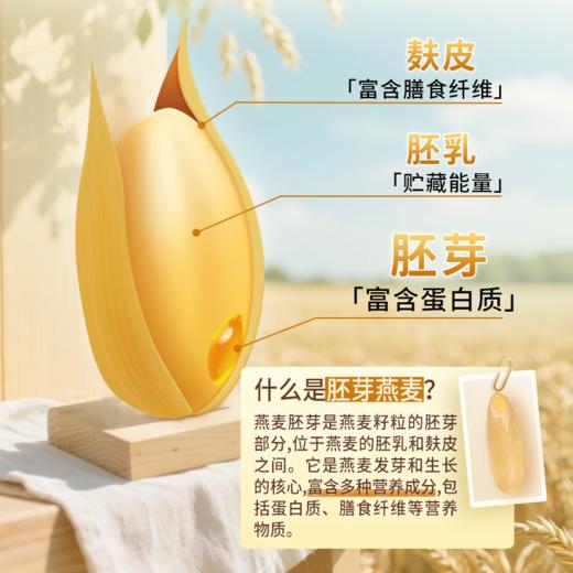 【麦麦SY】有机胚芽燕麦片900g*桶 | 含胚全谷物高蛋白富含膳食纤维 商品图1