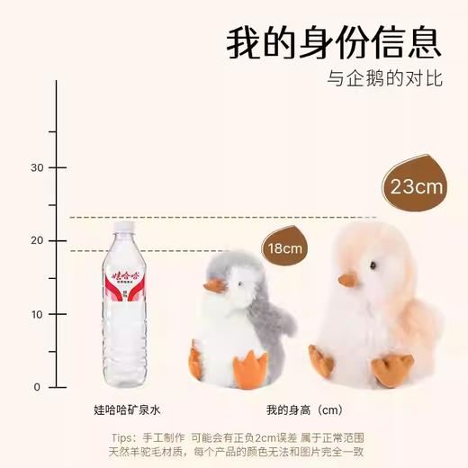 【订单实付低于299元，不发货】温暖驼 小企鹅毛绒玩偶-灰色  6972796113193-F . 商品图2