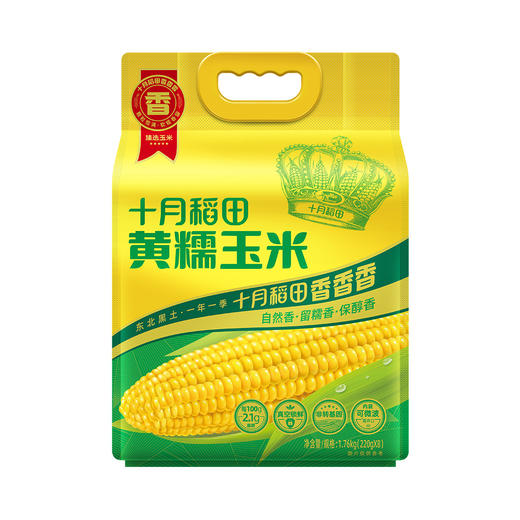 【速食粗粮组合】【赠原味关东煮调料一袋】黄糯玉米1.76kg＋黄金玉米段800g＋七色糙米杂粮饭团700g＋玉米糙米饭团700g 商品图1