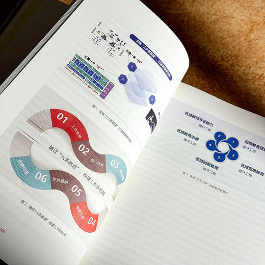 长三角教育现代化典型案例100 长三角教育现代化监测评估研究丛书 商品图12