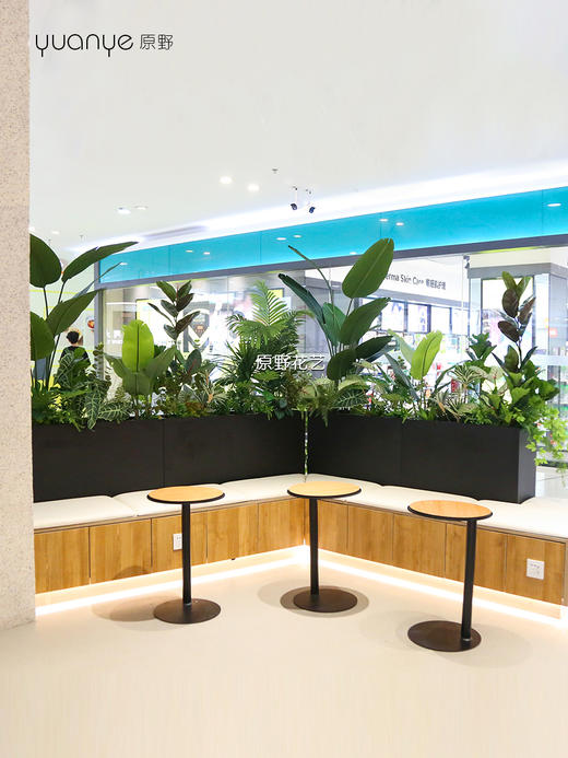 高仿真植物造景定制设计/商场家居多场景生态景观搭建+一站式安装（具体价格可咨询商家） 商品图9
