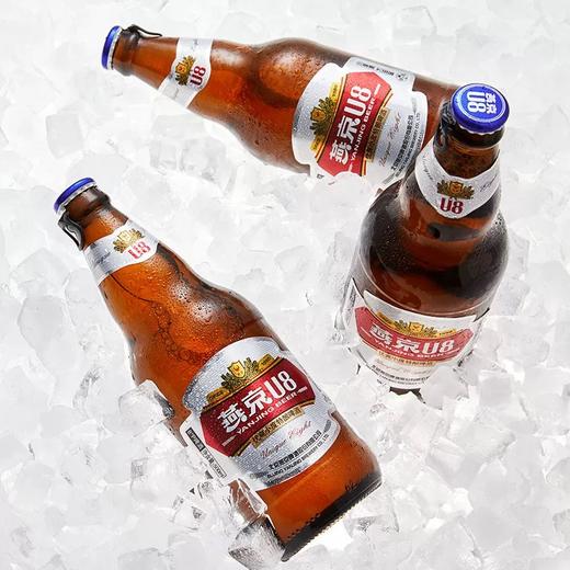 【BF】燕京啤酒 燕京U8小度特酿500ml*3/12瓶原酿啤酒 商品图1