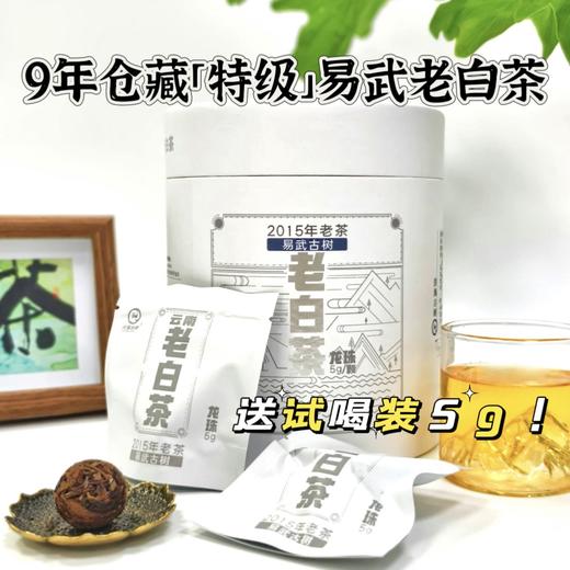 【超模君严选】2015年洪海古树·易武龙珠老白茶，香气清幽，送手提礼袋 商品图0