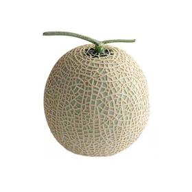 网纹瓜(个)约1500g