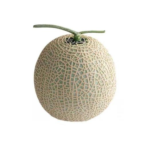 网纹瓜(个)约1500g 商品图0