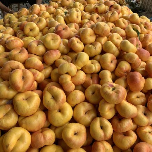 山东蒙阴彩虹油蟠桃4.5斤装(13-16个） 商品图7