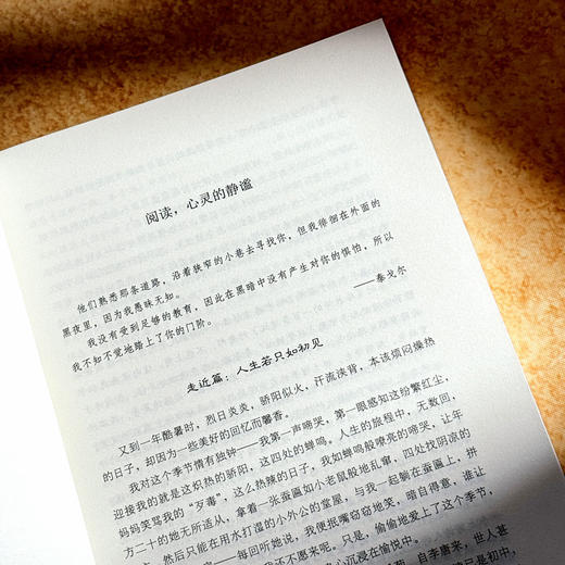 一路修炼 做智慧班主任 大夏书系 许丹红 幸福班主任修炼手册 商品图11