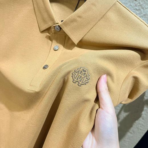 Roberto Calal*i罗伯特·卡瓦利2025年新款翻领T恤Polo衫 商品图3