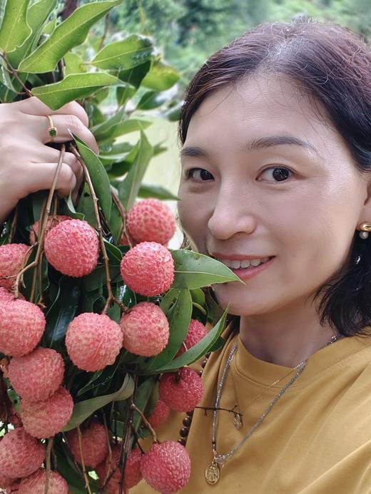 【现摘现发！】广东增城桂味荔枝 核小纯甜 顺丰冷链包邮 广东省内次日达 省外48小时达5斤／10斤 商品图3