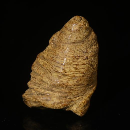 BC.RS6.23-6   印尼土沉沉水留疤，4.57g 商品图0