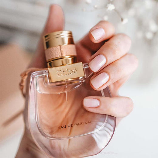 【海豚美购】Chloe 蔻依 小猪包淡香75ml 商品图4
