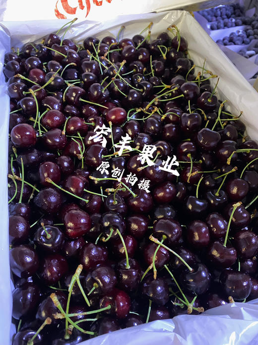 宏丰精选 美国车厘子硬度好 口感甜脆 长腿绿身 活动价138元2斤 商品图7