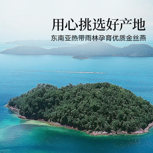 【正宗同仁堂品牌】北京同仁堂 造养青年  马来燕窝（银标款）-50克  用心成就 易泡发SY 商品图5