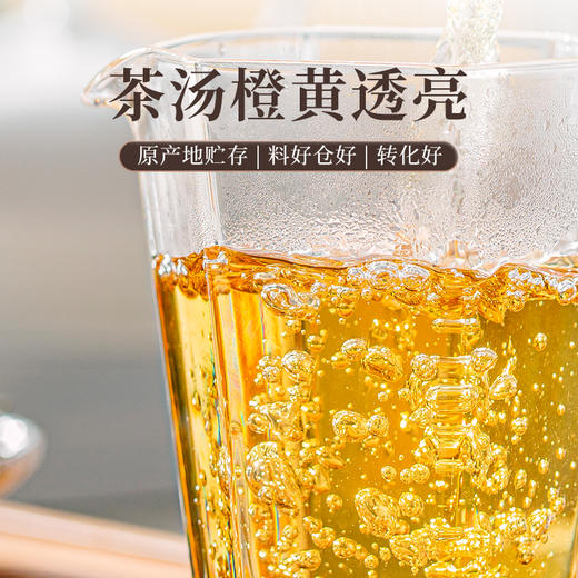 澜沧古茶2025年高山白茶云南云南贡眉白茶散茶100g*2罐 商品图3