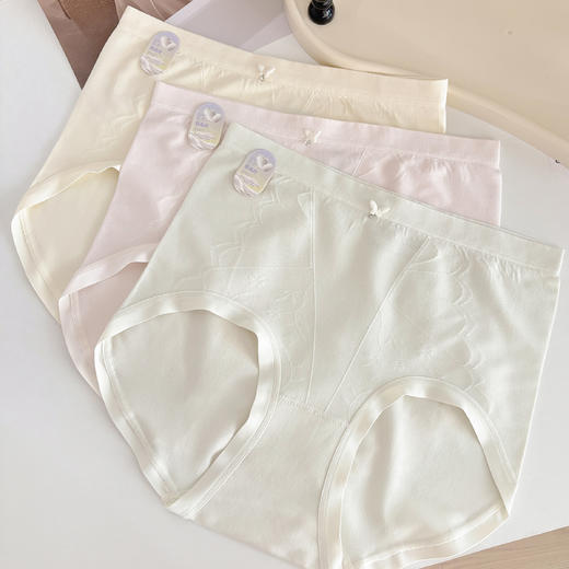 女士裸氨提花中高腰撞色彩纱无缝内裤8668/0319 商品图2