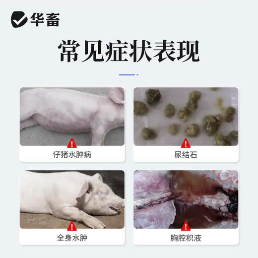 华畜呋塞米注射液10ml*10支 仔猪水肿 尿结石 胸腔积液 商品图1