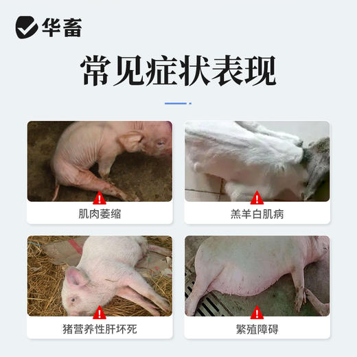 华畜亚硒酸钠维生素E注射液10ml*10支 幼畜白肌病 肌肉萎缩 补充维生素及硒 商品图1