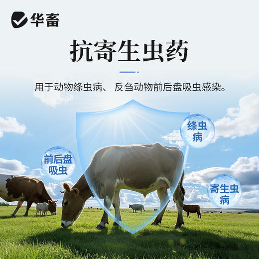 华畜兽药氯硝柳胺片牛羊家禽驱虫药灭绦灵绦虫反刍动物前后盘吸虫 商品图2