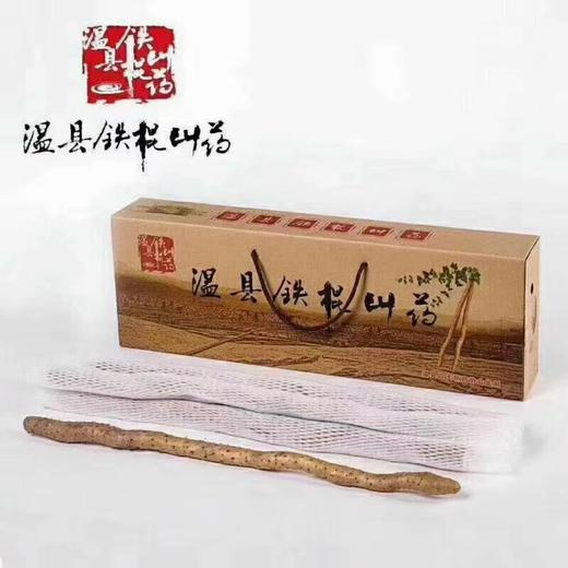 温县垆土地铁棍山药50型(42-48cm）4.5斤（±100g）礼盒装【分仓直发，72小时发货，周末节假日不发货】 商品图0