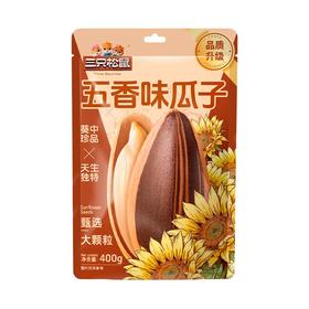T三只松鼠400g五香味瓜子