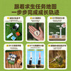 科答鸭户外野外求生家玩具盒  儿童手工DIY生存工具包套装  STEM科学+求生知识夏令营拓展玩具 商品缩略图3