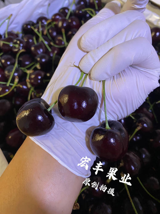 宏丰精选 美国车厘子硬度好 口感甜脆 长腿绿身 活动价138元2斤 商品图4