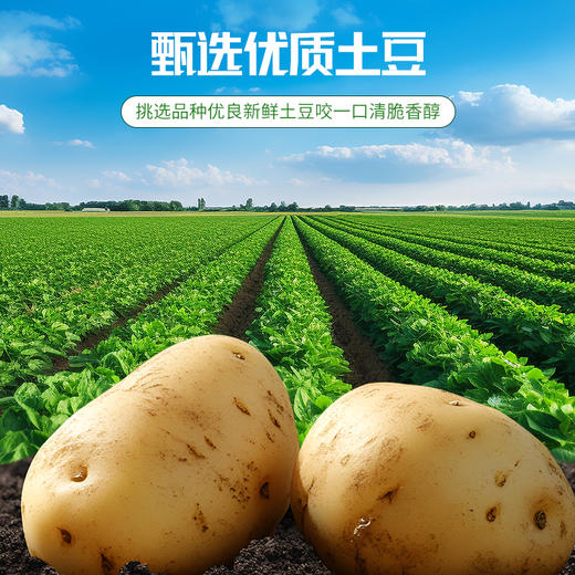 本高沙屋原切薯片|配料表只有3样，好吃无负担，口口酥脆 商品图5