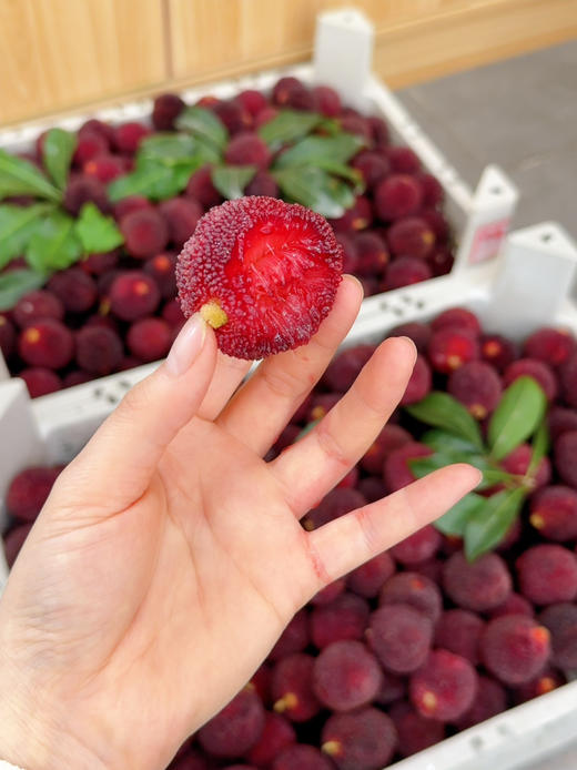 巨无霸仙居东魁杨梅 贡梅级别（78一斤）（买两斤送一斤） 商品图0