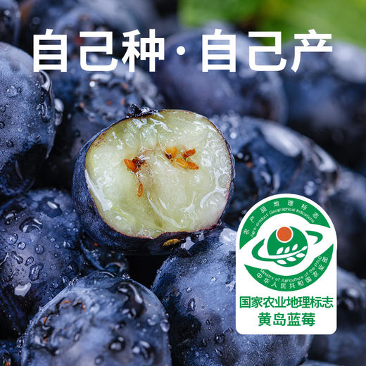 【1颗≈50颗蓝莓】100%NFC蓝莓原汁饮30ml*10袋 商品图4