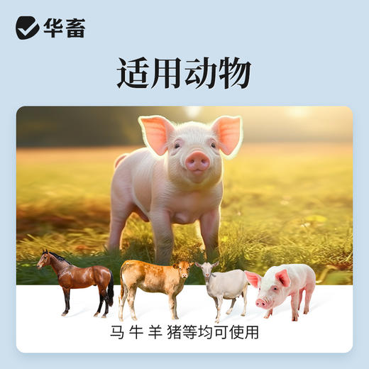华畜呋塞米注射液10ml*10支 仔猪水肿 尿结石 胸腔积液 商品图2