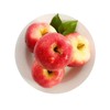新西兰初露苹果（500±50g） 商品缩略图0