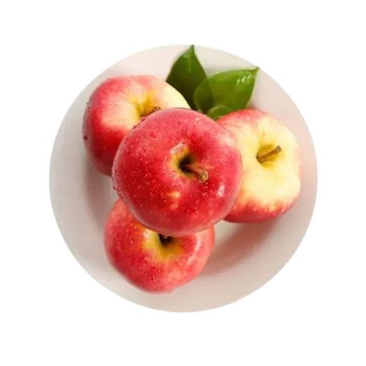 新西兰初露苹果（500±50g） 商品图0