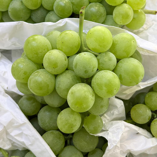 【3斤十堰主城区包邮】新鲜水果 郧阳区鲜甜多汁 荔枝蜜葡萄(部分有籽)  500g 商品图0