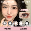 「 SUGARPLUM 」日抛 款式合集 /10片装 商品缩略图0