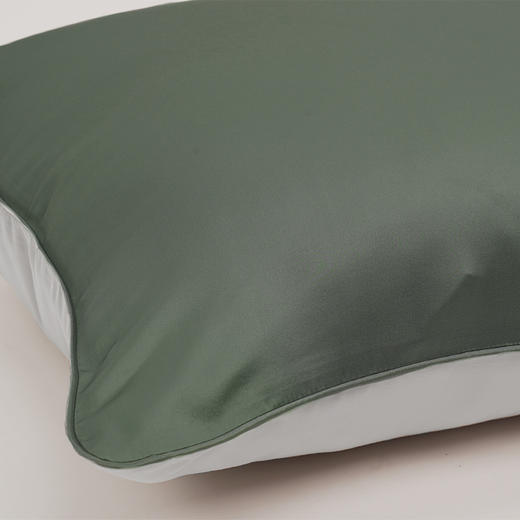 纯色AB面真丝枕套1只  A-4798 商品图7