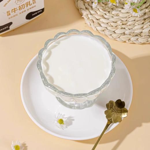 悠了优乐·新疆牛初乳酸奶 560g*2  新疆原产 口感细腻不酸涩 商品图3