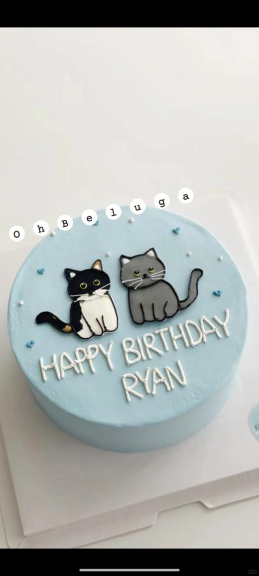 喵星人小集合/猫卡通手绘蛋糕-低糖处理无添加 商品图7