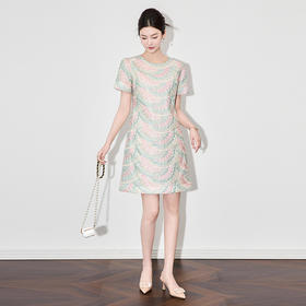 夏款高品质重工雀羽欧根纱彩绣显瘦连衣裙WLZD2504601