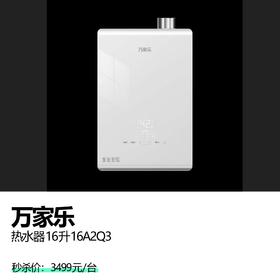 万家乐热水器 16升16A2Q3